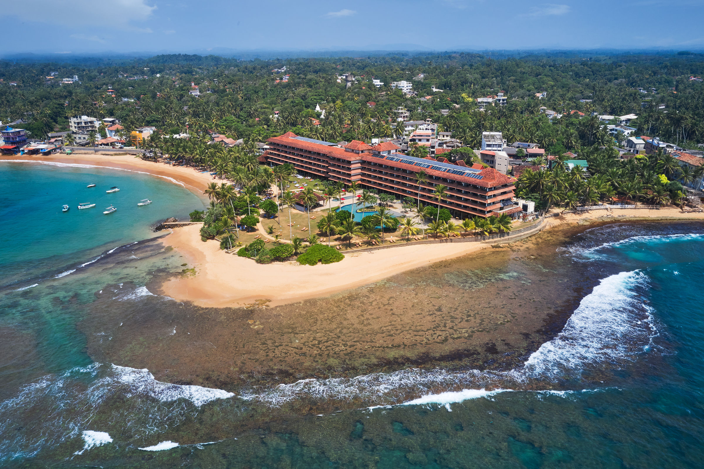 Hikka Tranz by Cinnamon.